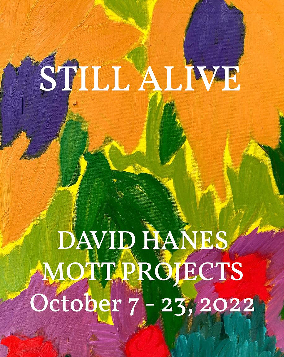 nils jendri orbits of dust Mott Projects contemporary art space New York art gallery solo exhibition David Hanes still alive
